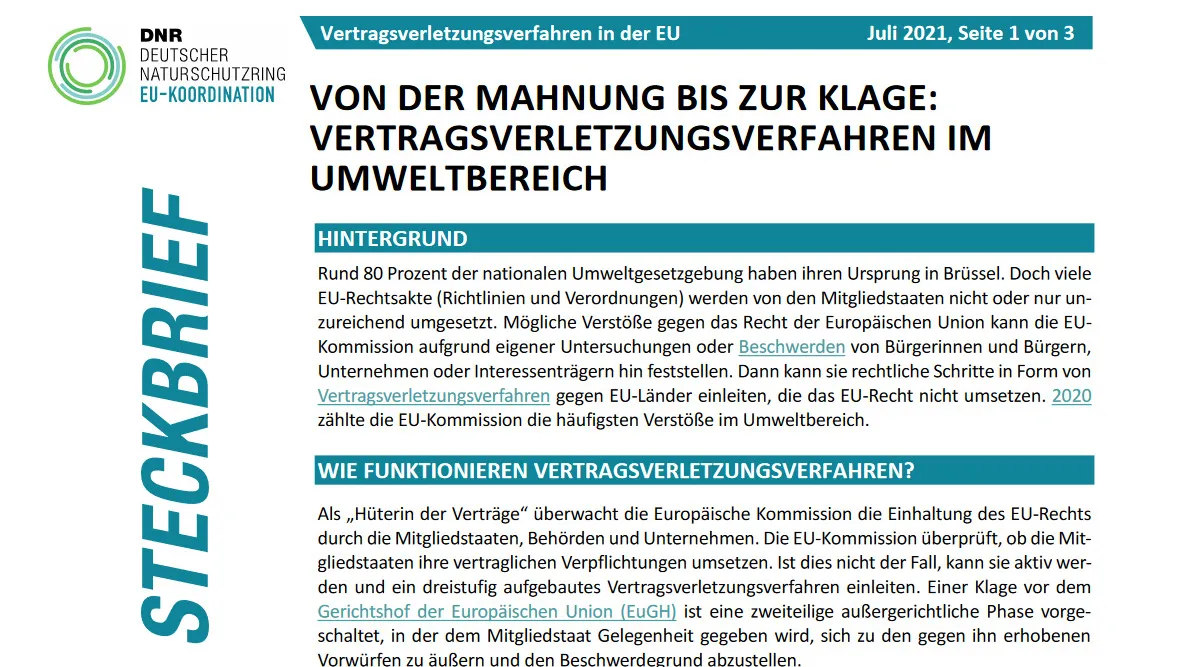 Steckbrief